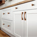 Drawer Pulls for Kitchen