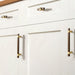 black and gold cabinet pulls