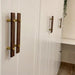 Brass Cabinet Handles