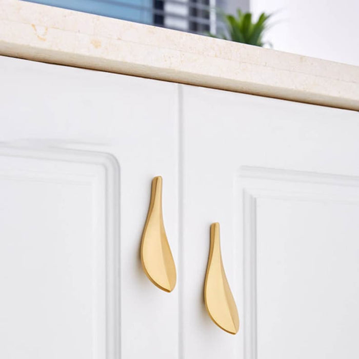 Leaves Brass knobs and Pulls